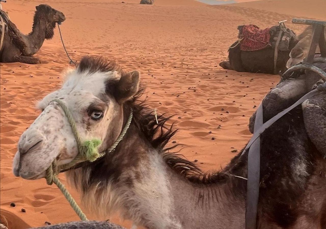 Hotel Amazing Luxury Camp Merzouga Zewnętrze zdjęcie